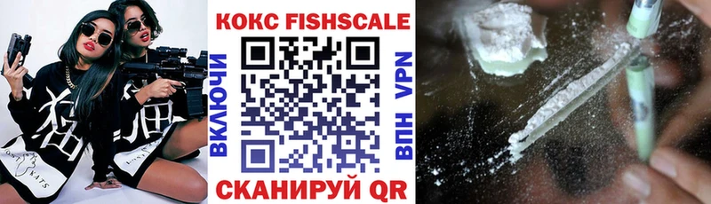 Cocaine FishScale  как найти   Воткинск 