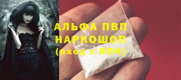 крисы Алзамай