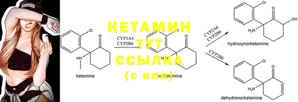 крисы Алзамай