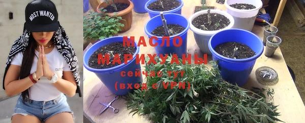 крисы Алзамай